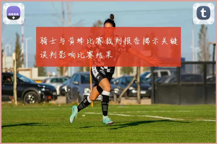 骑士与黄蜂比赛裁判报告揭示关键误判影响比赛结果
