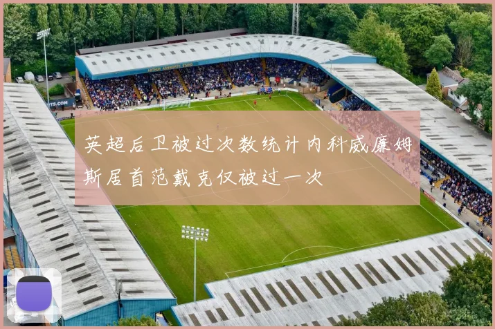 英超后卫被过次数统计内科威廉姆斯居首范戴克仅被过一次