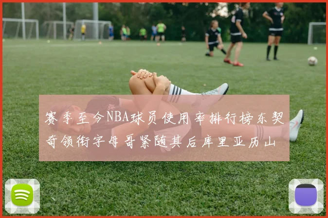 赛季至今NBA球员使用率排行榜东契奇领衔字母哥紧随其后库里亚历山大表现抢眼