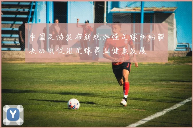 中国足协发布新规加强足球纠纷解决机制促进足球事业健康发展
