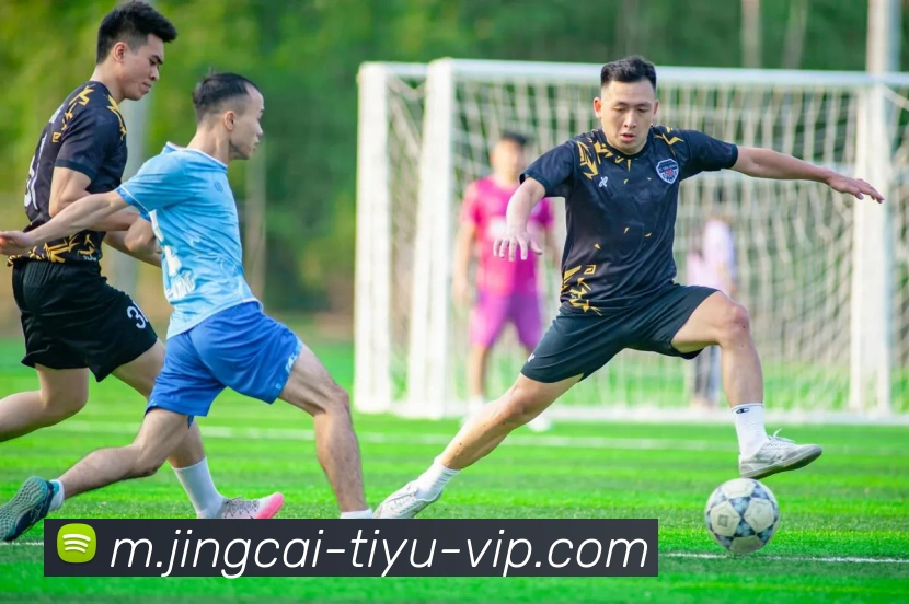 体彩竞彩服务体系